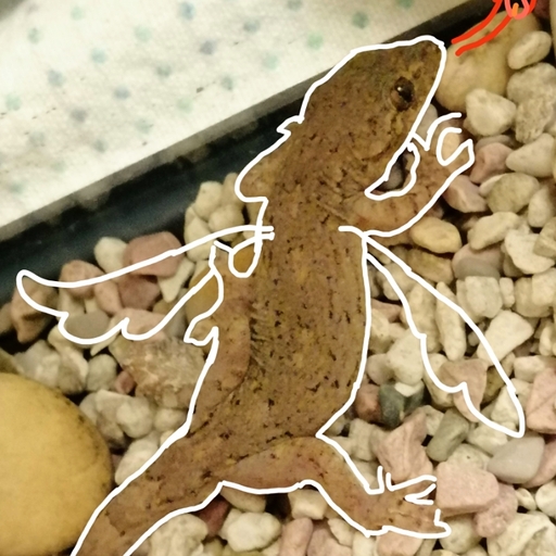  Nanoka Saijo